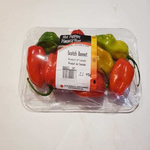 Scotch Bonnet Pepper